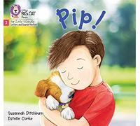 Big Cat Phonics for Little Wandle Letters and Sounds Revised - Pip!: Phase 2