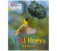Big Cat Phonics For Little Wandle Letters And Sounds Revised - Wild Homes