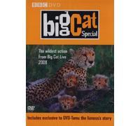 Big Cat Special
