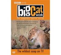 Big Cat Week - Series 4 G