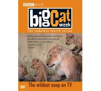 Big Cat Week - Series 4 [Import anglais]