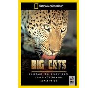 Big Cats Box Set (3 DVD) [Edizione: Regno Unito] [Import]