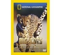 Big Cats-Cheetahs The Deadly Race [Edizione: Regno Unito] [Import]