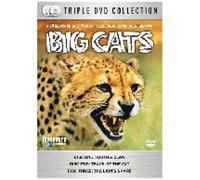 Big Cats - Documentaire Animalier - Dvd (2007)