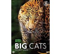 Big Cats [Edizione: Paesi Bassi] [Import]