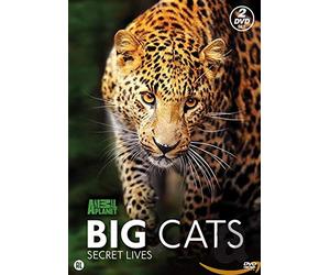 Big Cats [Edizione: Paesi Bassi] [Import]