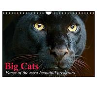 Big Cats ¿ Faces of the most beautiful predators (Wall Calendar 2026 DIN A4 landscape), CALVENDO 12 Month Wall Calendar: The world's biggest and most beautiful cats
