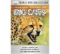 Big Cats G