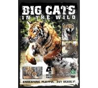 Big Cats [Import anglais]