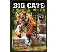 Big Cats in the Wild [Import anglais]