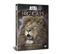 Big Cats-Into The Lions Den [Edizione: Regno Unito] [Import]