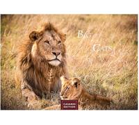 Big Cats Kalender 2026 - Wandkalender | Fotokalender Tierkalender 24x35cm - Wunderschöner Großkatzen-. mit beeindruckenden Fotos von Tiger| Löwen | Jaguar | Gepard | Luchs | Puma