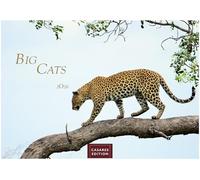 Big Cats Kalender 2026 - Wandkalender | Fotokalender Tierkalender 35x50cm - Wunderschöner Großkatzen-. mit beeindruckenden Fotos von Tiger| Löwen | Jaguar | Gepard | Luchs | Puma.