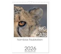 BIG CATS - Les félins de Namibie, Version française (Calendrier mural 2026 DIN A4 portrait), Calendrier CALVENDO mensuel