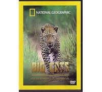 Big Cats-Stalking Leopards [Edizione: Regno Unito] [Import]