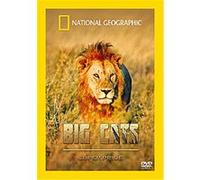 Big Cats - Superpride G