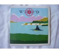 Big Country - BIG COUNTRY Wonderland UK 7" 45