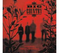Big Country - Fragile Thing [Import]