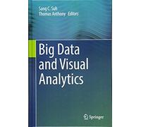 Big Data And Visual Analytics