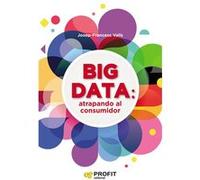 Big Data: Atrapando Al Consumidor - [Livre en VO] Valls, Josep Francesc (Auteur)