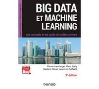 Big Data et Machine Learning - 3e éd. - Les concepts et les outils de la data science Pirmin Lemberger (Auteur), Marc Batty (Auteur), Médéric Morel (Auteur), Jean-Luc Raffaëlli (Auteur)