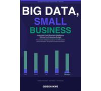 BIG DATA, SMALL BUSINESS: Enterprise-Level Business Intelligence Without the Enterprise Budget