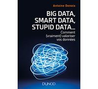 Big Data, Smart Data, Stupid Data... : Comment (vraiment) valoriser vos données