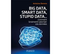 Big Data, Smart Data, Stupid Data... comment (vraiment) valoriser vos données Comment (vraiment) valoriser vos données - Antoine Denoix - Dunod - broché - Guide
