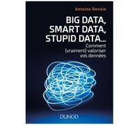 Big Data, Smart Data, Stupid Data - Comment (Vraiment) Valoriser Vos Données - Petit Manuel À L'usage De Ceux Qui Veulent Accélerer Et Réussir