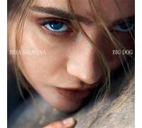 Big Dog
