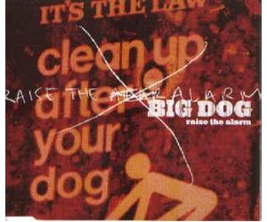 Big Dog - Raise The Alarm [Import]