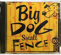 Big Dog Small Fence