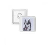 Big Dog Snow Husky Photo PBT Keycaps pour Clavier mécanique Blanc OEM sans Marquage d'impression R3 Multicolore