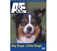 Big Dogs Little Dogs [Import USA Zone 1]