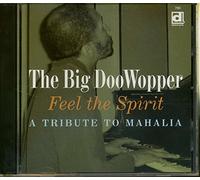 Big Doo Wopper - Feel The Spirit [Import]