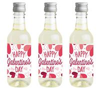 Big Dot of Happiness Lot de 16 mini étiquettes autocollantes Happy Galentine's Day pour bouteille de vin et de champagne, cadeau de Saint-Valentin pour femmes et hommes