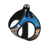 Big Ears Ensemble harnais réglable pour chats et chiens, gilet en maille douce et respirante avec design réfléchissant, laisse anti-évasion pour petits animaux de compagnie, promenade et dressage