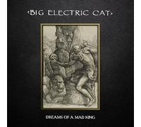 Dreams of a Mad King – Vinyle – The Orchard