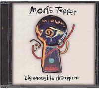 Tepper, Moris - Big Enough to Disappear