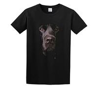 Big Face Animal Labrador Take Out Cute Street Super Soft Basic T-Shirt Black 3XL
