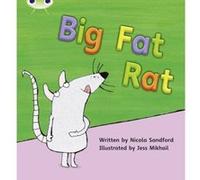 Big Fat Rat: Set 05 (Phonics Bug) Sandford, Nicola (Auteur)