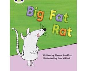 Big Fat Rat: Set 05 (Phonics Bug) Sandford, Nicola (Auteur)