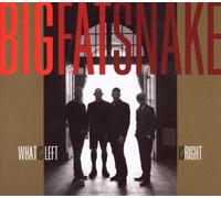 Big Fat Snake - What Left is Right [Import]