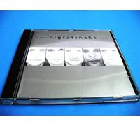 Big Fat Snake - Www.bigfatsnake.com
