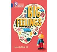 Big Feelings by Becky GoddardHill Paperback Book Becky GoddardHill (Auteur)