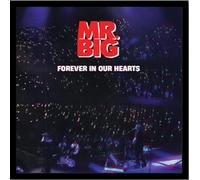 BIG FINISH LIVE T-シャツ(Billy Sheehan) サイズ XL &『Forever In Our Hearts』 シングルCD（輸入盤）