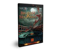 Big Fish & Begonia [Import]