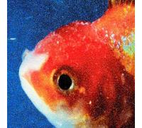 Big Fish Theory [Double Vinyle Picture disc]