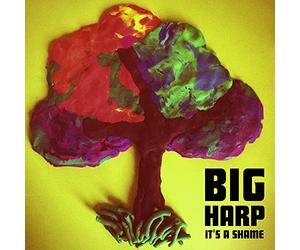 Big Harp - 7-It'S a Shame