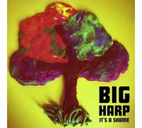 Big Harp - 7-It's a Shame [Import]